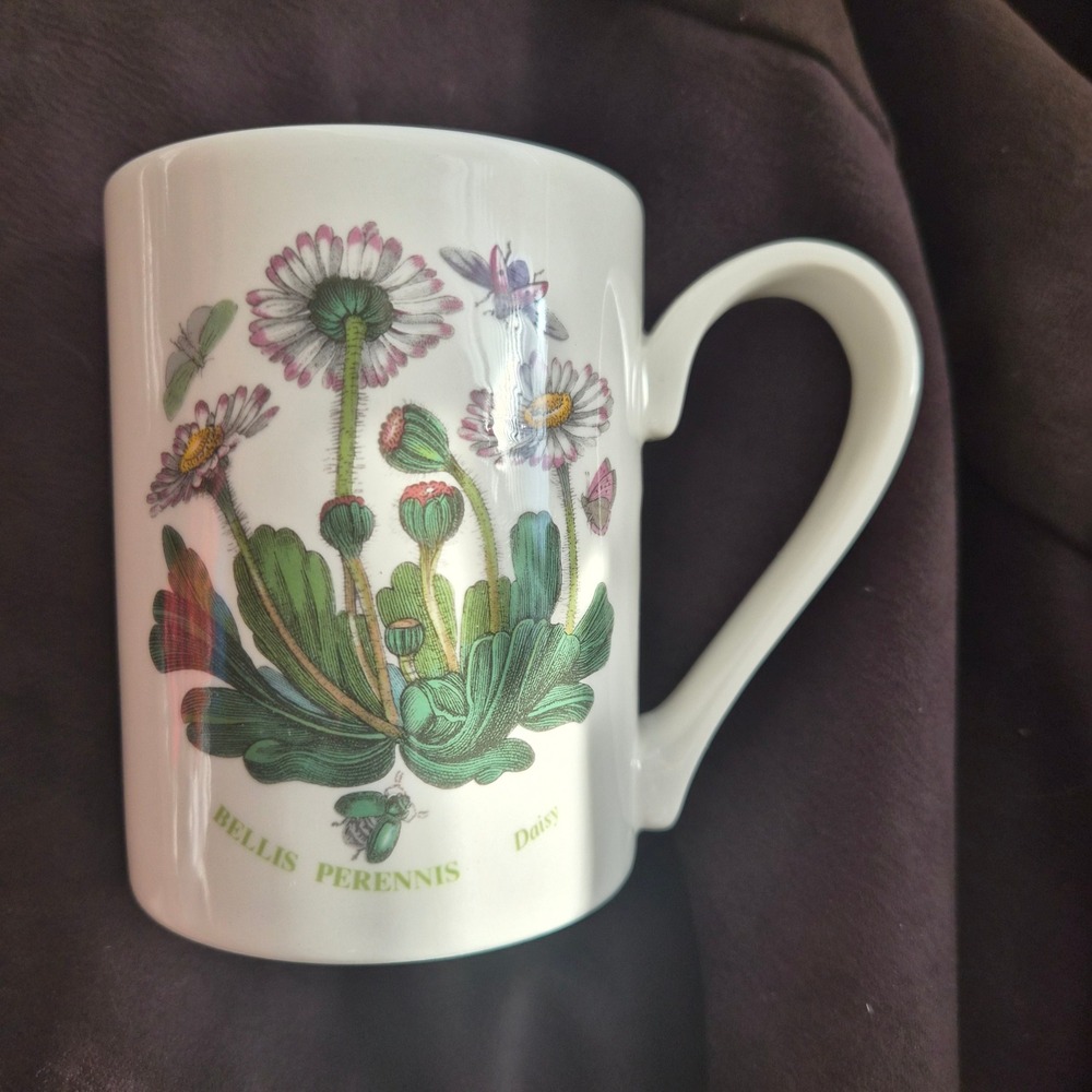 Portmeirion Botanic Garden Bellis Perennis Daisy Coffee Mug Made in England